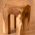 Terra Stool