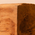 Solid Tree Trunk Bench