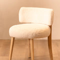 Aidan Dining Chair