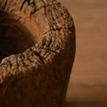 Dot Teak Wood