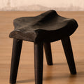 Ren Stool