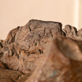 Coba Raw Wood Stool