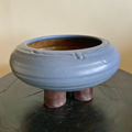 Ariza Raised Bowl