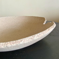 Daichi Dish