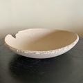 Daichi Dish