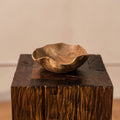 Wave Bowl