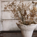 Dian Vessel