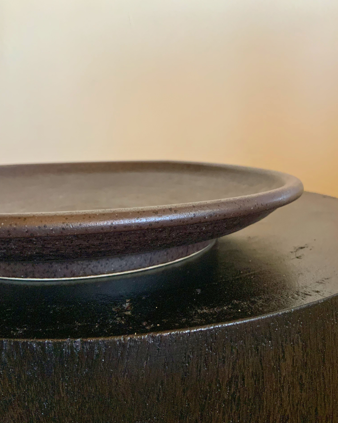 Hikari Dish