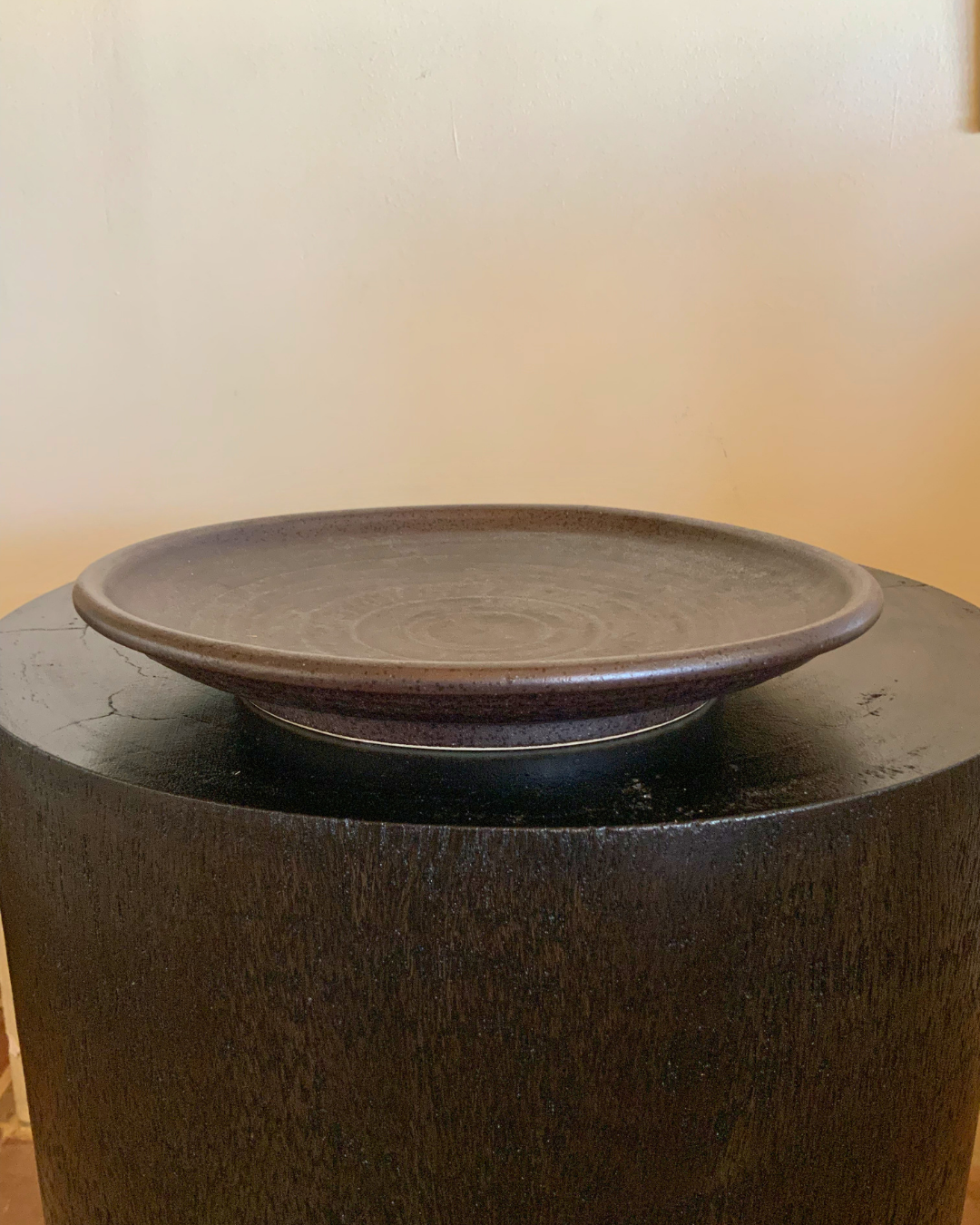 Hikari Dish
