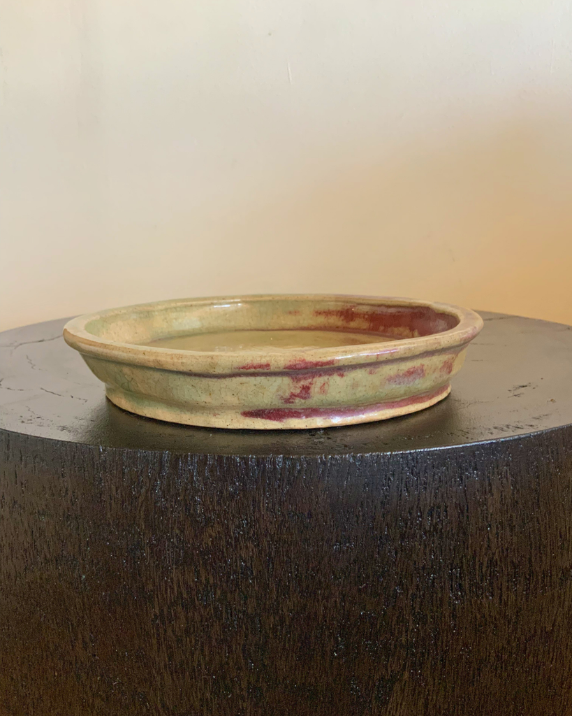 Hiyoka Plate