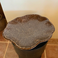 Hoshiri Plate