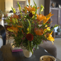 Dian No. 06 - The Ember Bloom