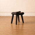 Ren Stool