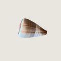Terebra or Turritella Species (Auger/Tower Shell)